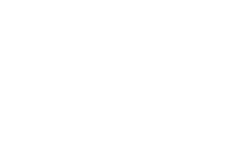 ACE logo